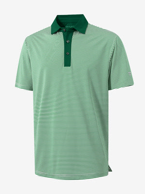 3D view of emerald stripe upgraded two-tone striped quick dry polo shirt.