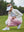 Woman adjusting ankle zip on Women's Ultra-stretch Quick Dry Sweatpants with Ankle Zips in pale pink on golf course